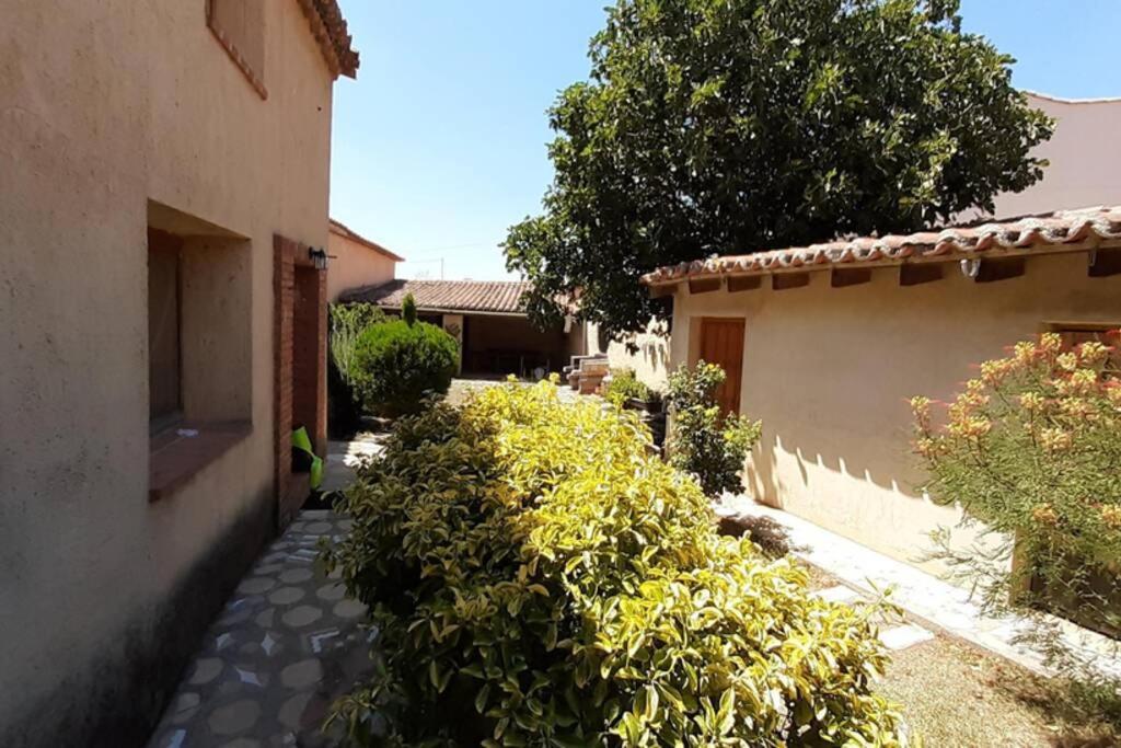 Casa Rural La Paloma - Zamora Manganeses de la Lampreana 외부 사진